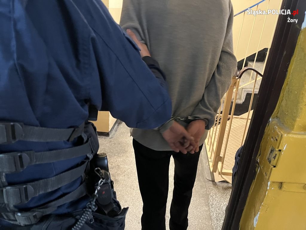 Zatrzymano sprawców serii włamań z kradzieżą w Żorach