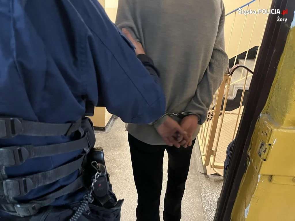 Zatrzymano sprawców serii włamań z kradzieżą w Żorach