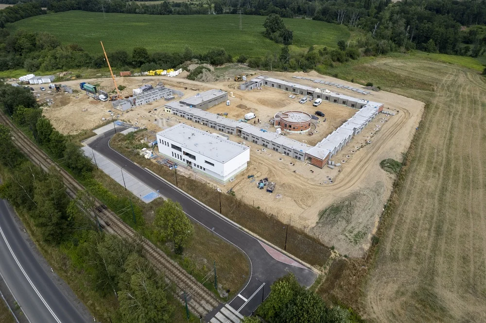 Bezdomne zwierzęta w Zabrzu już wkrótce będą miały nowy dom