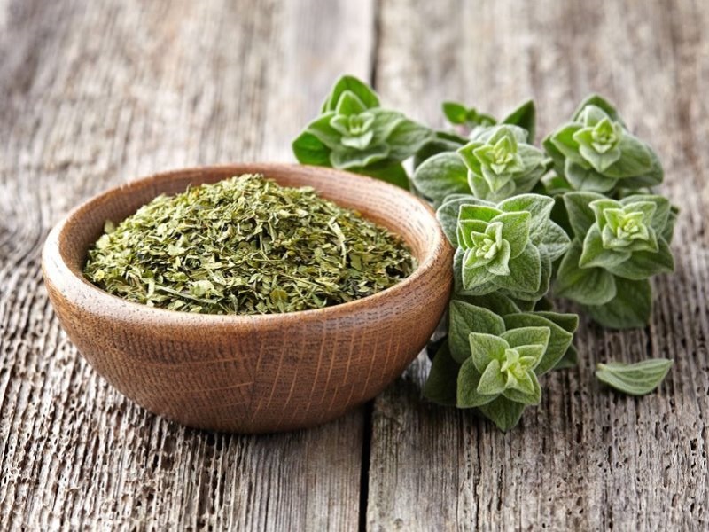 Zioła na uspokojenie i poprawę nastroju