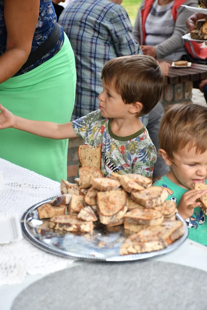 Piknik przy Piekaroku 35