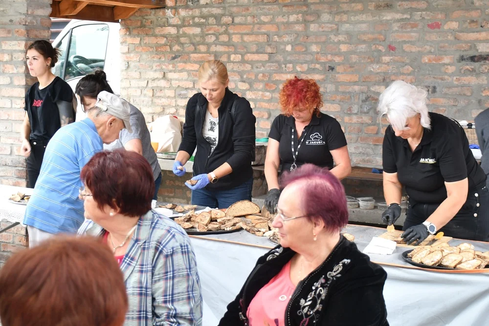 Piknik przy Piekaroku 42