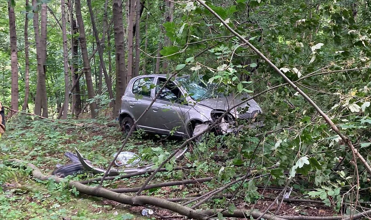 Groźne zdarzenie drogowe na ul. Orzegowskiej. Samochód wypadł z drogi i wjechał do lasu!