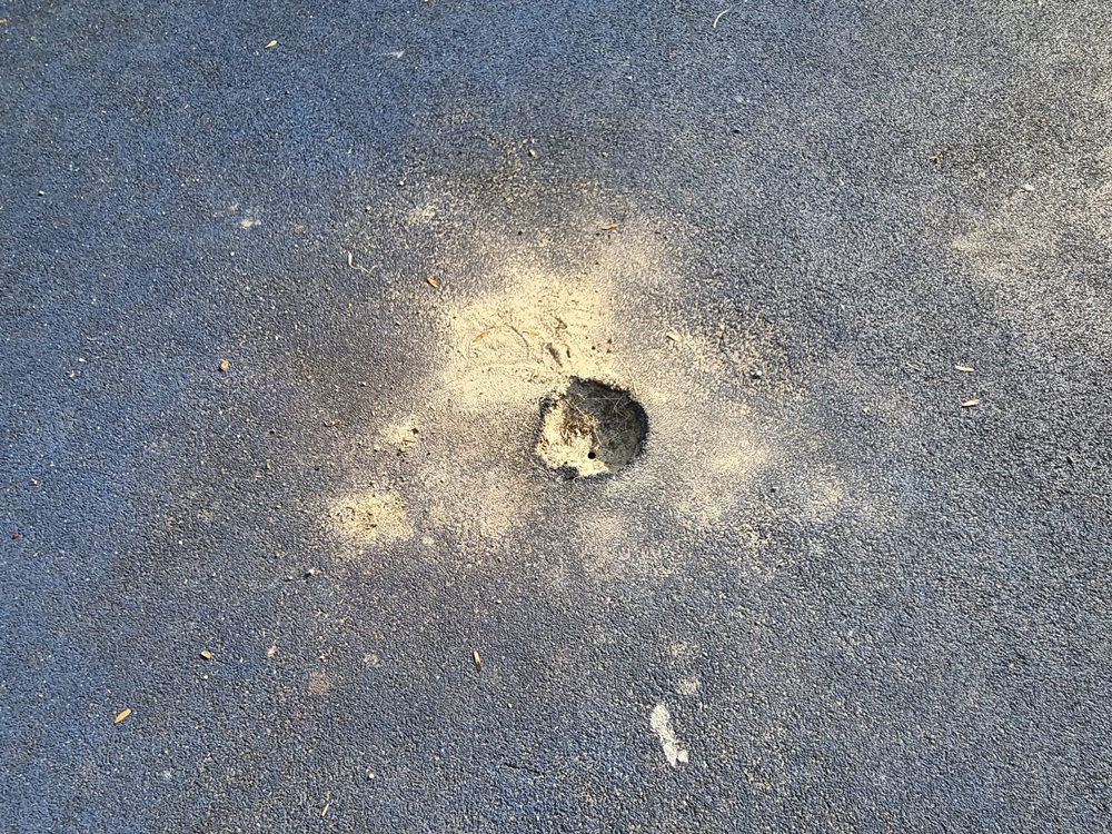 Zniszczony plac zabaw w Nowym Bytomiu 9