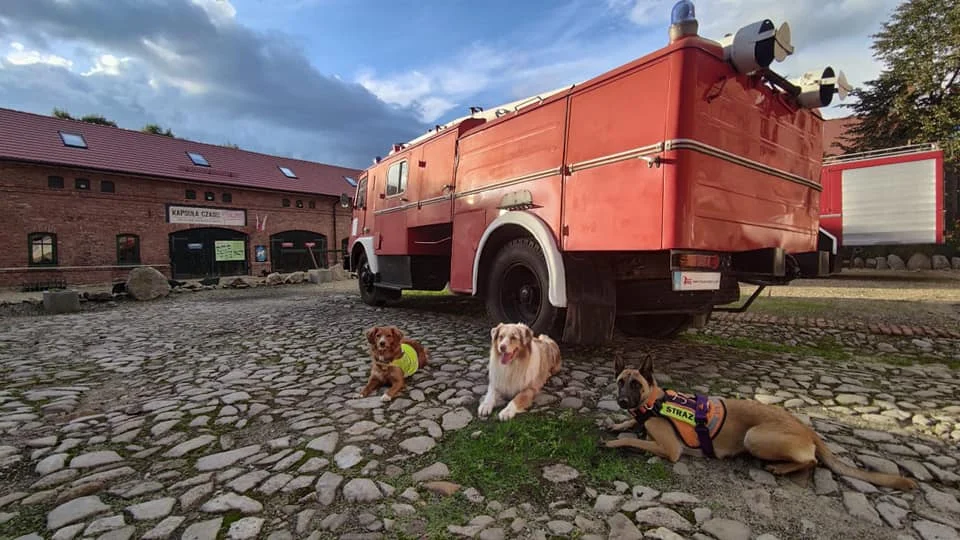Ochotnicy z OSP wraz z psem trenowali na terenie Muzeum PRL-u