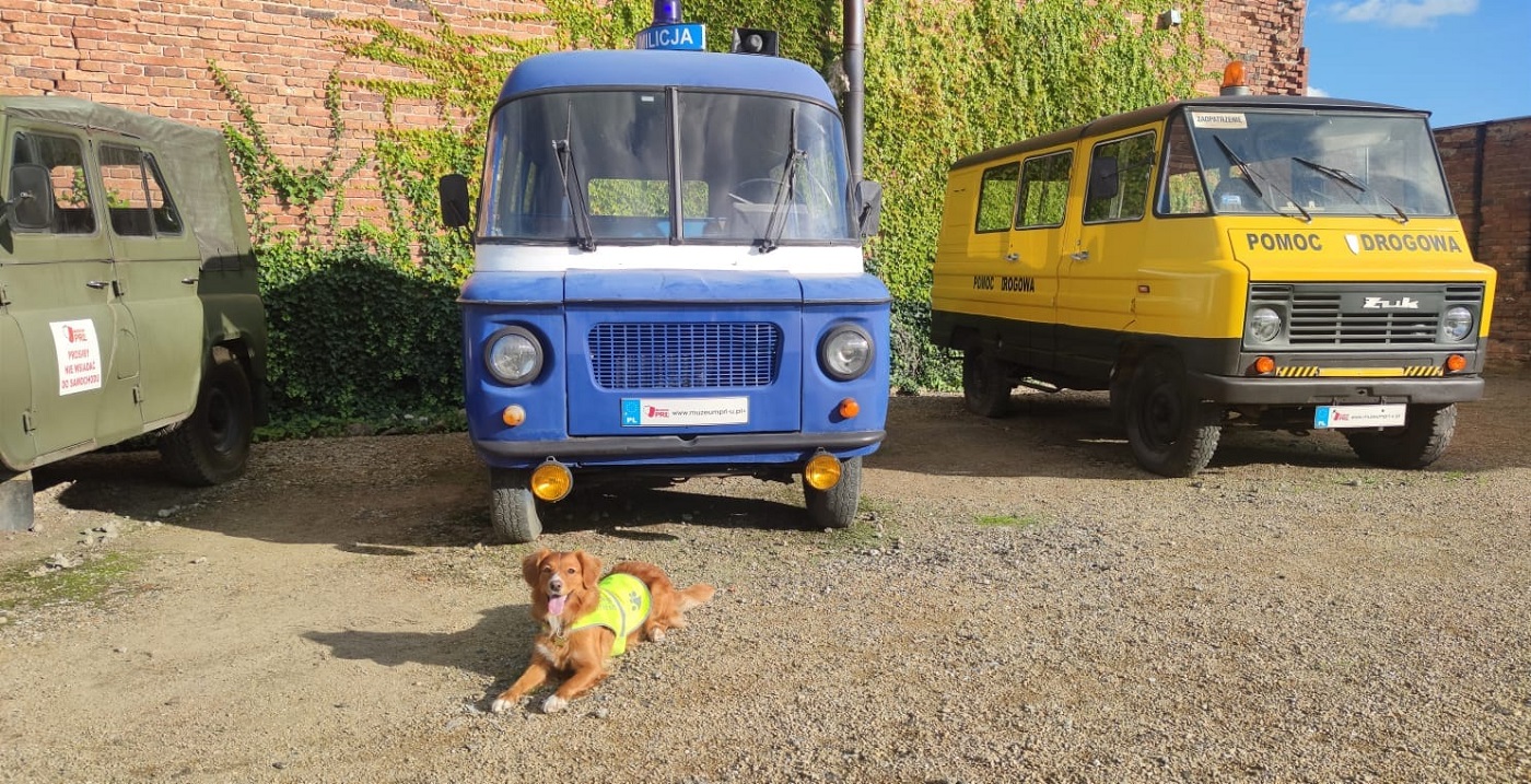 Ochotnicy z OSP wraz z psem trenowali na terenie Muzeum PRL-u