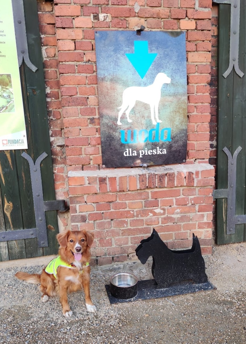 Ochotnicy z OSP wraz z psem trenowali na terenie Muzeum PRL-u