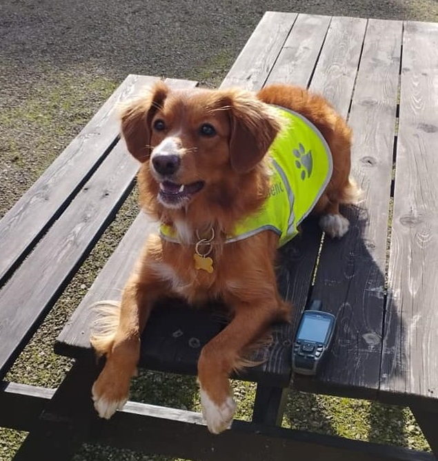 Ochotnicy z OSP wraz z psem trenowali na terenie Muzeum PRL-u