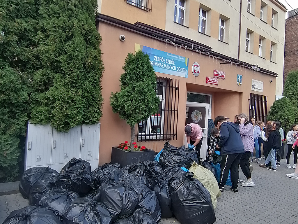 Cogito sprząta świat!