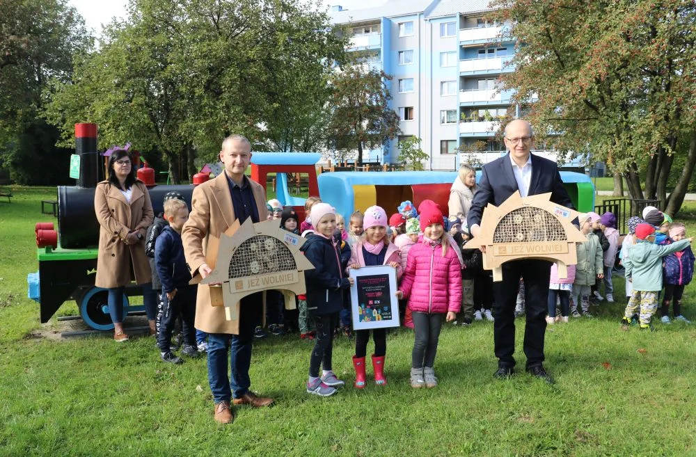 Domki dla owadów i finał konkursu "Dokąd tupta jeż?"