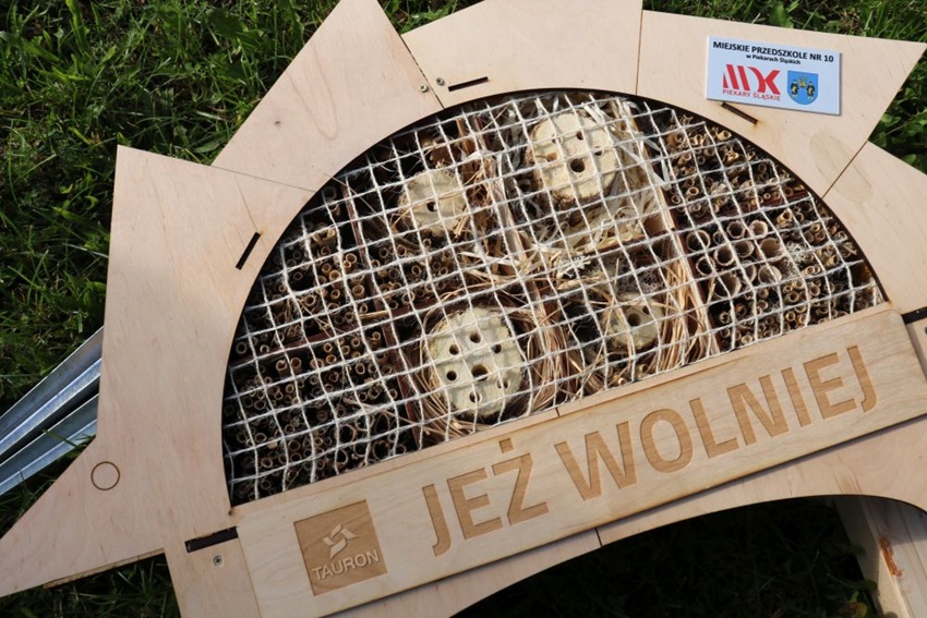 Domki dla owadów i finał konkursu "Dokąd tupta jeż?"