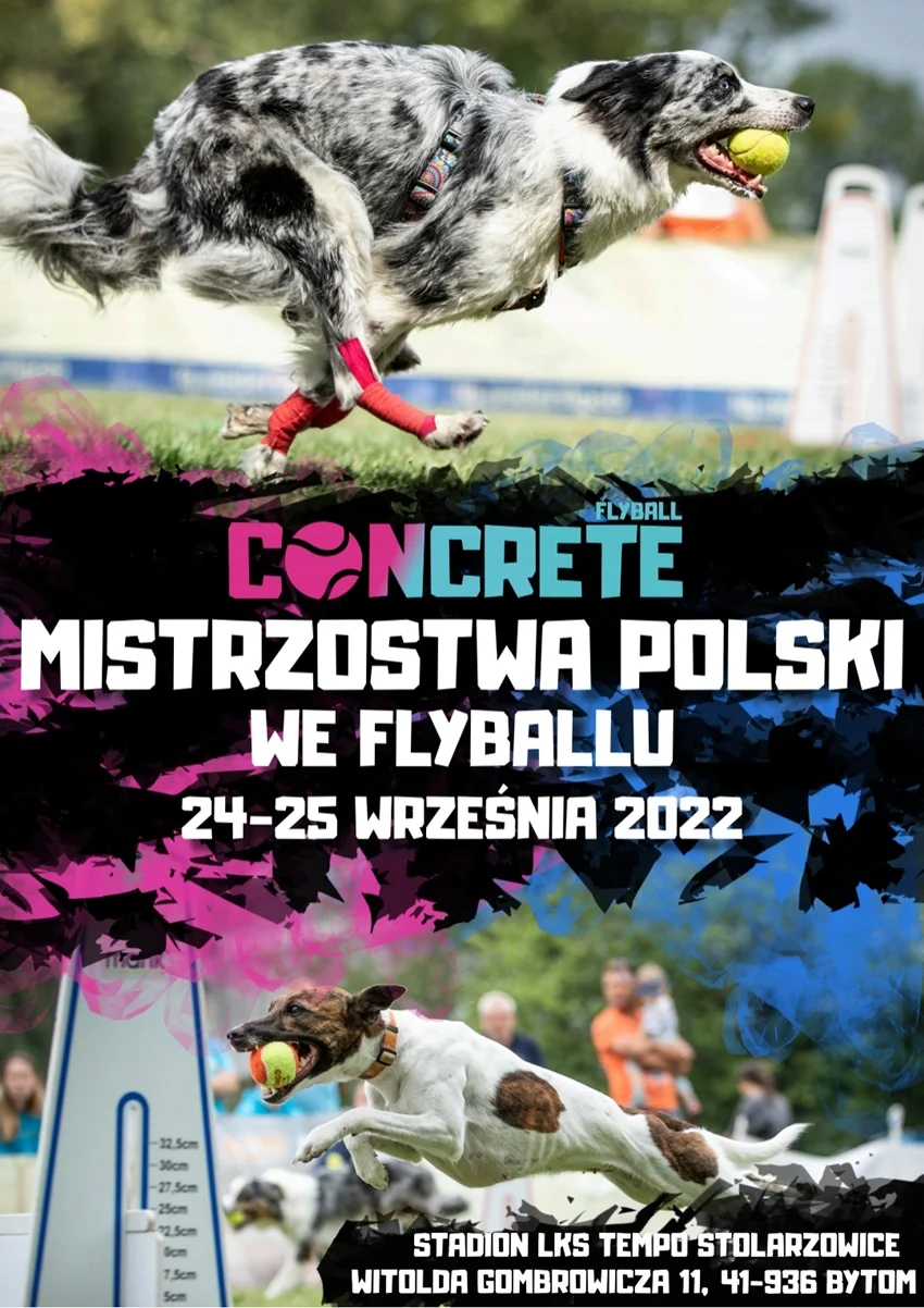 W Stolarzowicach ponownie zagoszczą zawody psich sztafet