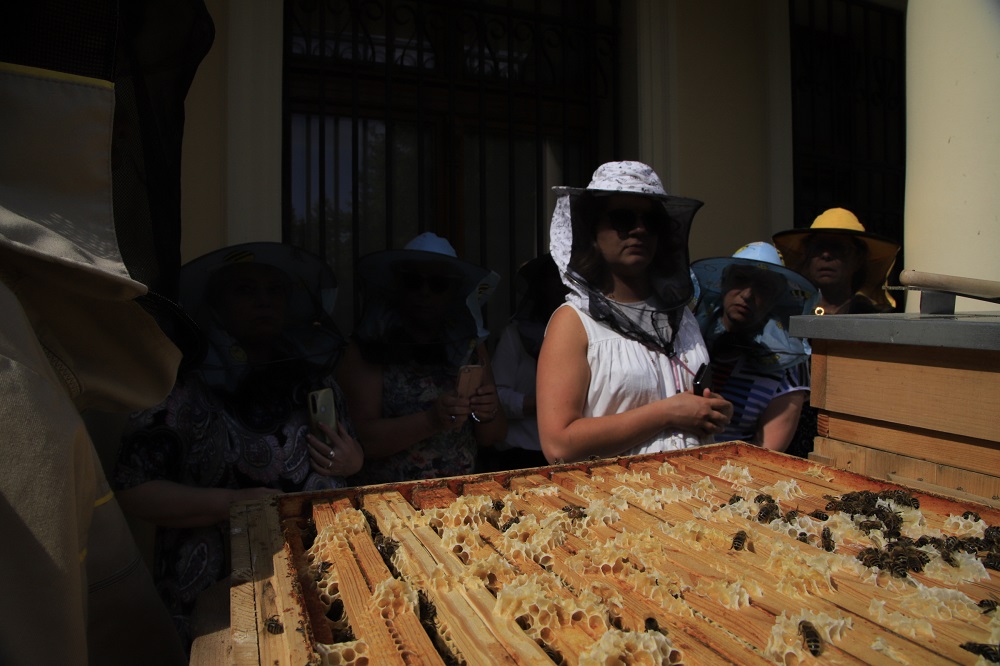 Sosnowieckie Miodobranie, czyli festyn rodzinny w Pałacu Schoena!