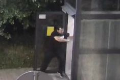 Czy rozpoznajesz wandali?