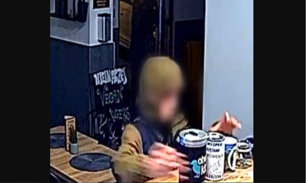 Ukradli puszkę z datkami na ratowanie zwierząt. Restauracja publikuje zdjęcia