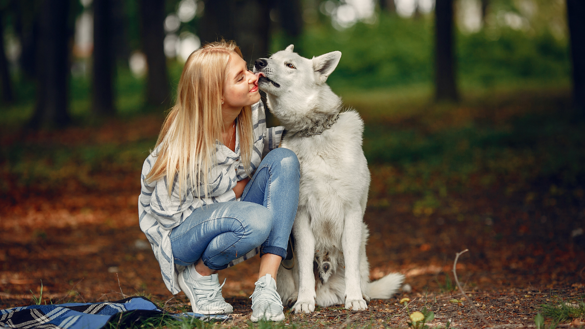 Petsitter – jak wybrać opiekuna swojego dla psa?