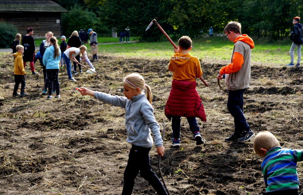 [FOTO] W chorzowskim skansenie już jesień. Za nami Dzień Kartofla