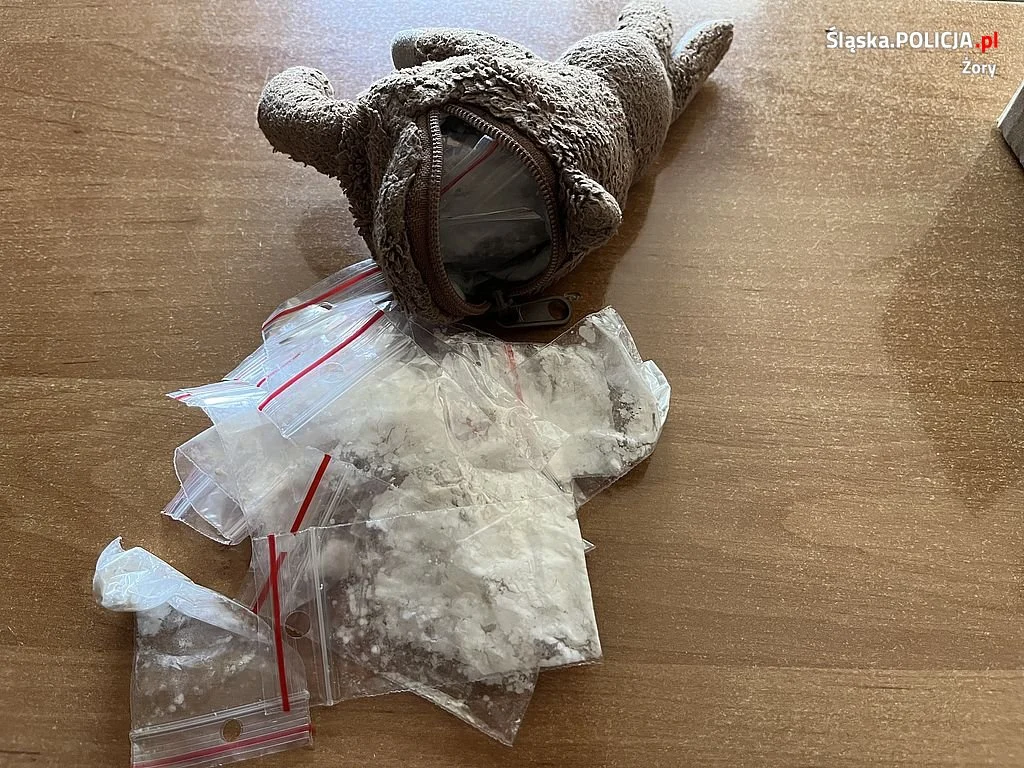 Narkotyki i środki odurzające schowane w... pluszakach 1