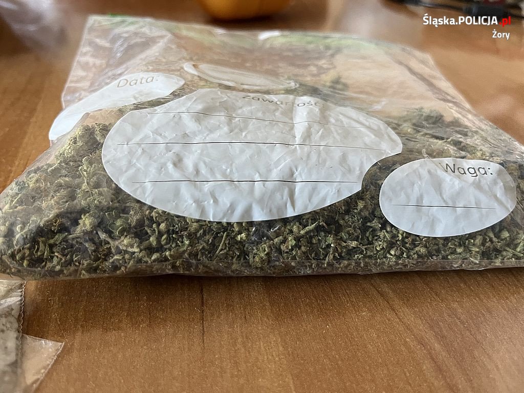 Narkotyki i środki odurzające schowane w... pluszakach 5