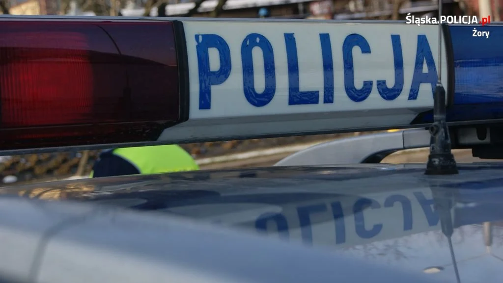 Wpadł na kradzieży zabawek i perfum. Odpowie za dokonanie kilku kradzieży