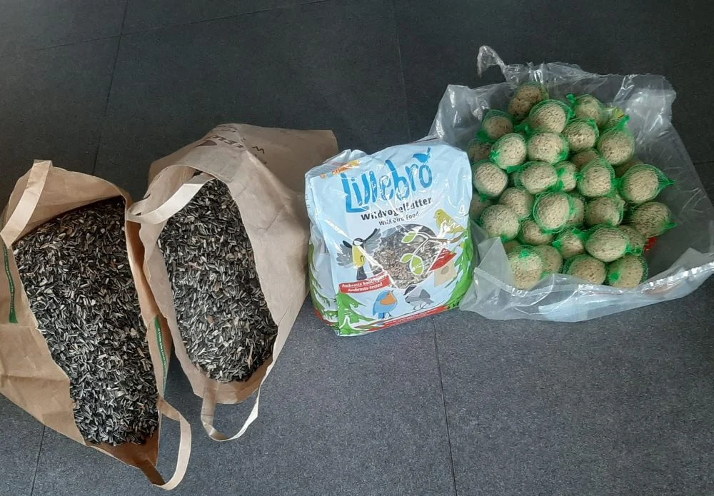 Ruszyła zbiórka orzechów i karmy dla ptaków. Dary trafią do okolicznych zwierząt