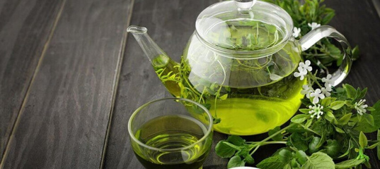 Najlepsze zioła na ból głowy – które wybrać?