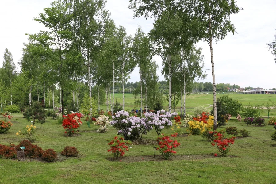 Ogród botaniczny w Mikołowie - co w nim znajdziemy?