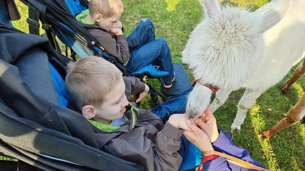 "Dobro za Dobro" - Mieszkańcy wsparli rehabilitację Maćka i Piotrka z Rudy Śląskiej