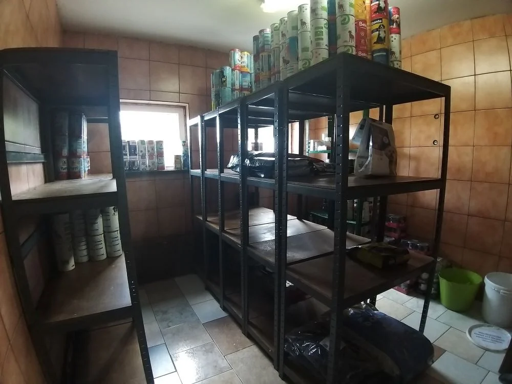 Dramatyczna sytuacja schroniska! W "Faunie" brakuje karmy i węgla