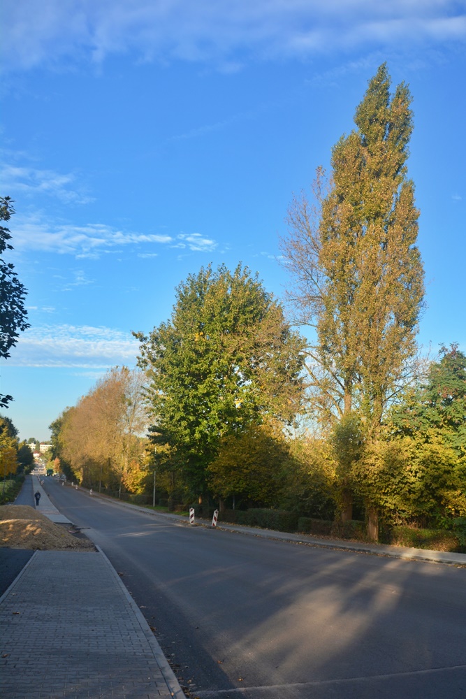 Remont ulicy Czarnoleśnej 24