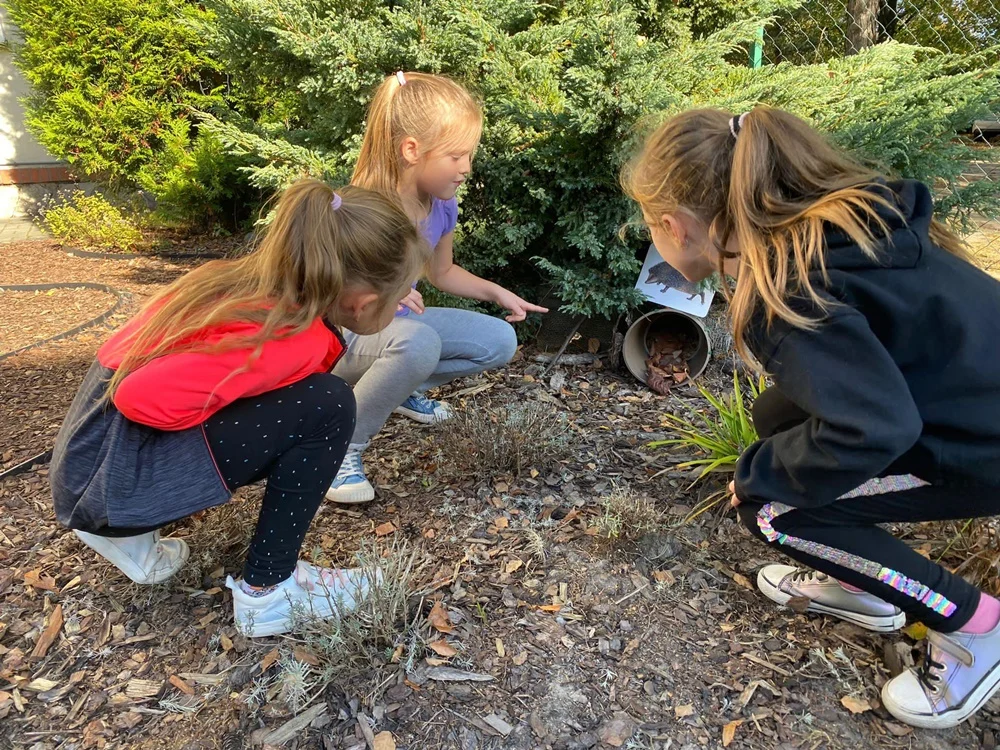 SP nr 25 realizuje projekt BRAWO. Nowy ogród, sprzęt i warsztaty dzięki dotacji