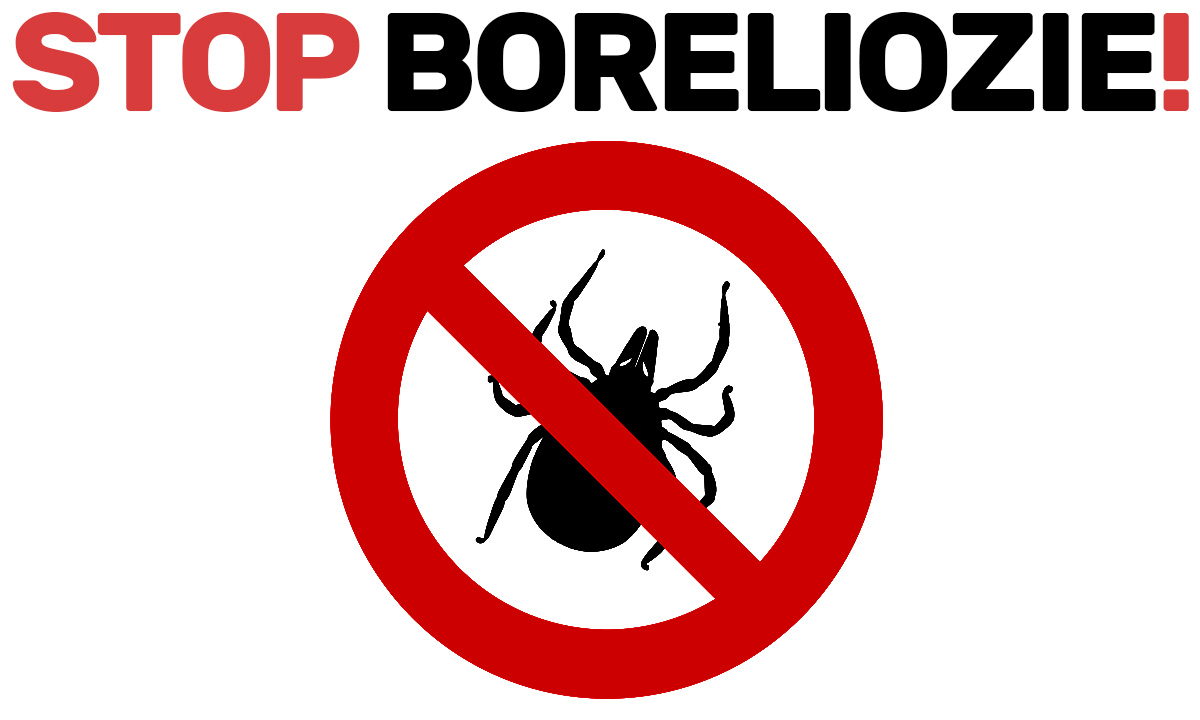 Miasto zaprasza na bezpłatne badania w kierunku boreliozy