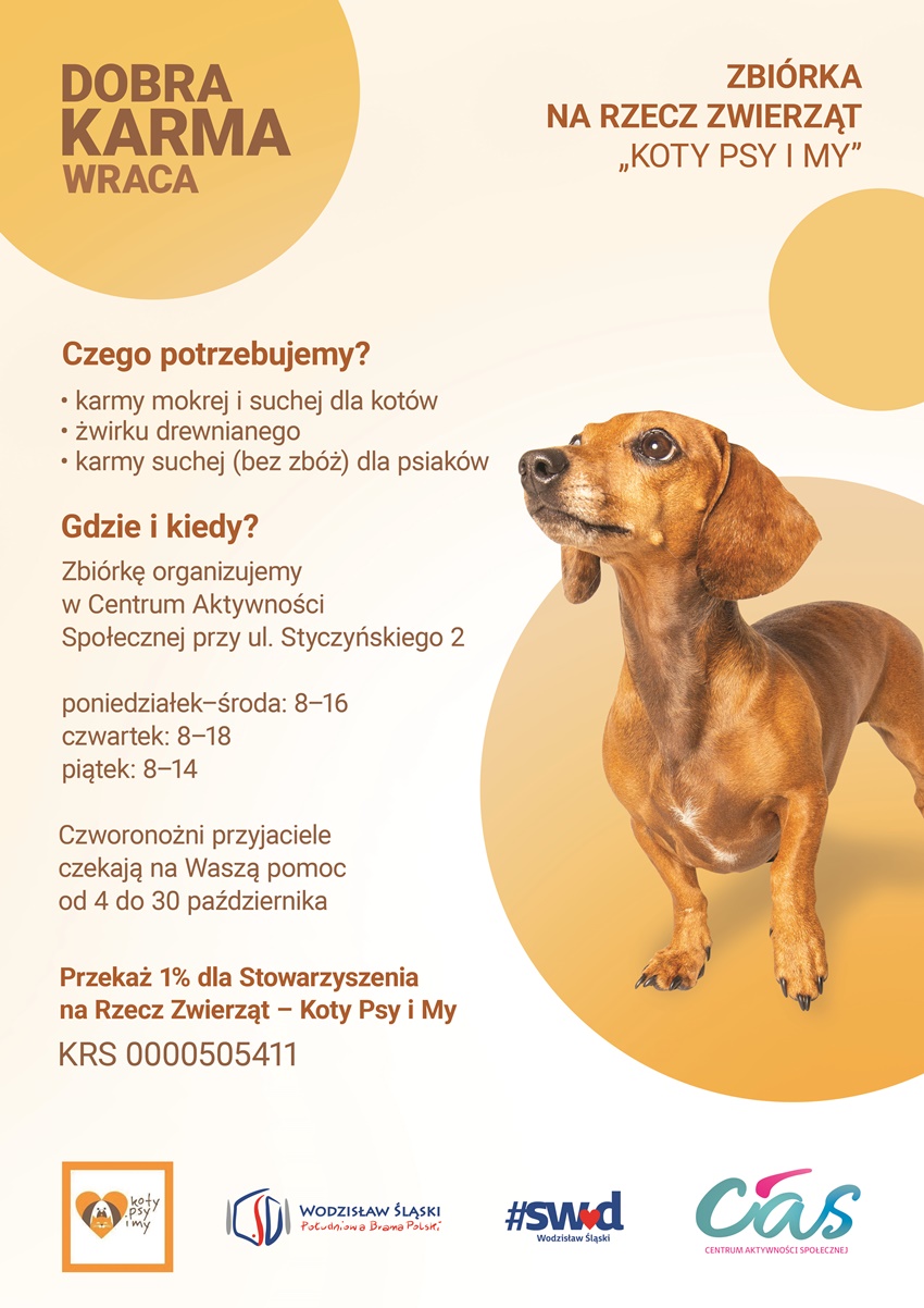 Zbiórka karmy dla wodzisławskiego przytuliska. Sprawdź, jak pomóc!