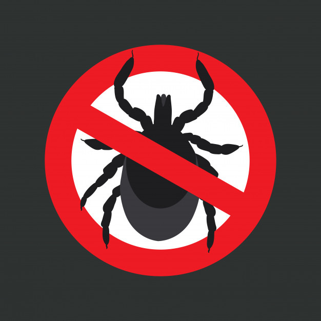 Bezpłatne badania w kierunku boreliozy