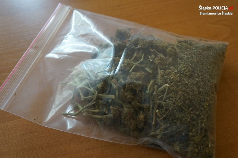18-latek z Siemianowic z narkotykami. Grożą mu nawet 3 lata więzienia!