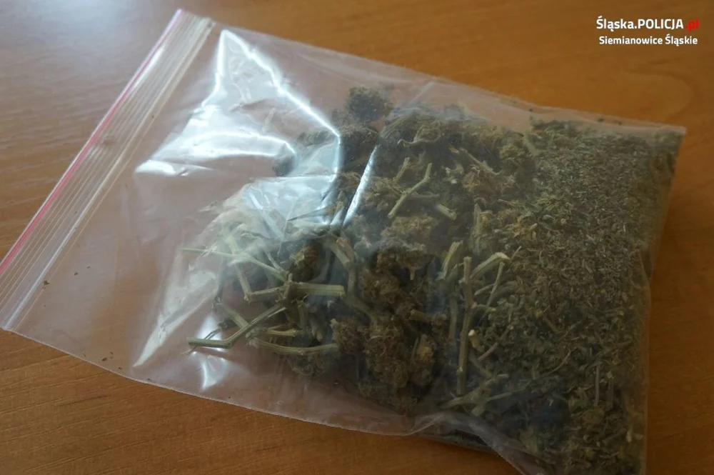 18-latek z Siemianowic z narkotykami. Grożą mu nawet 3 lata więzienia!