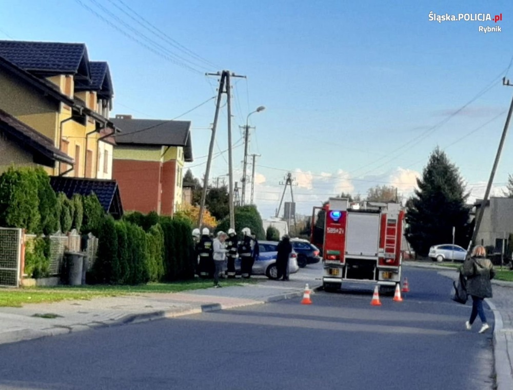 Czy w Boguszowicach doszło do znęcania się nad zwierzętami? Śledczy prowadzą sprawę