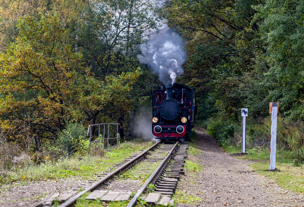 Pasażerowie wąskotorówki przeszli odprawę paszportową. Przejazd zabytkowym "Rysiem"