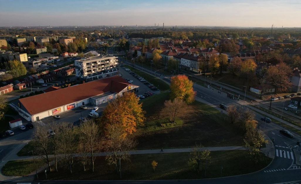 W Bytomiu pojawią sie kolejne łąki kwietne