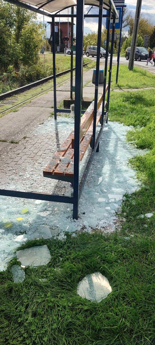 Zatrzymano wandala, który ostrzelał przystanek