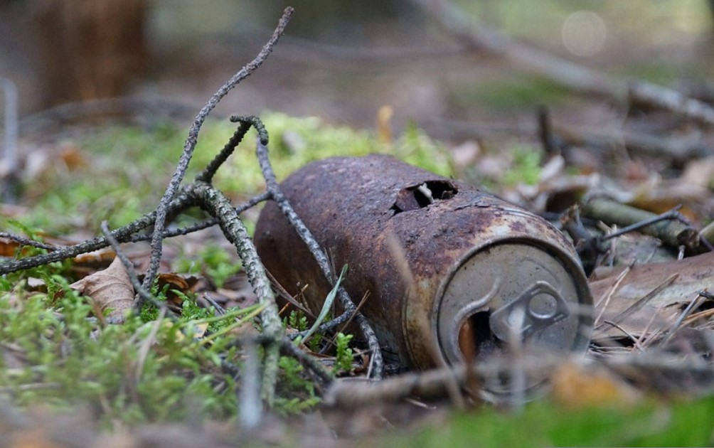 Leśne Sprawy już w sobotę! Mikołowska młodzież i O’Rety zapraszają na sprzątanie lasu