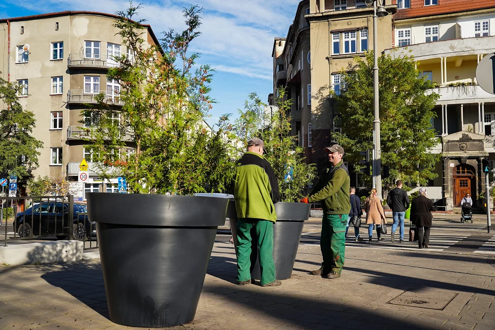 Donice zamiast samochodów? Nowa zieleń przed Wyższym Urzędem Górniczym