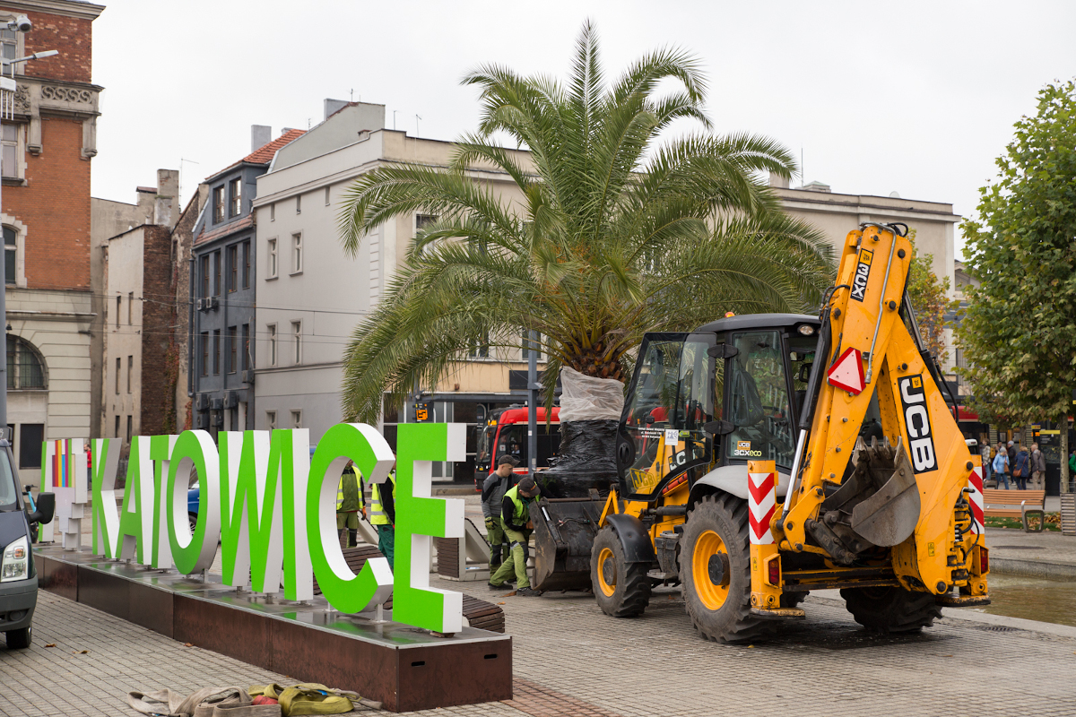 Katowickie palmy rozpoczynają zimowanie