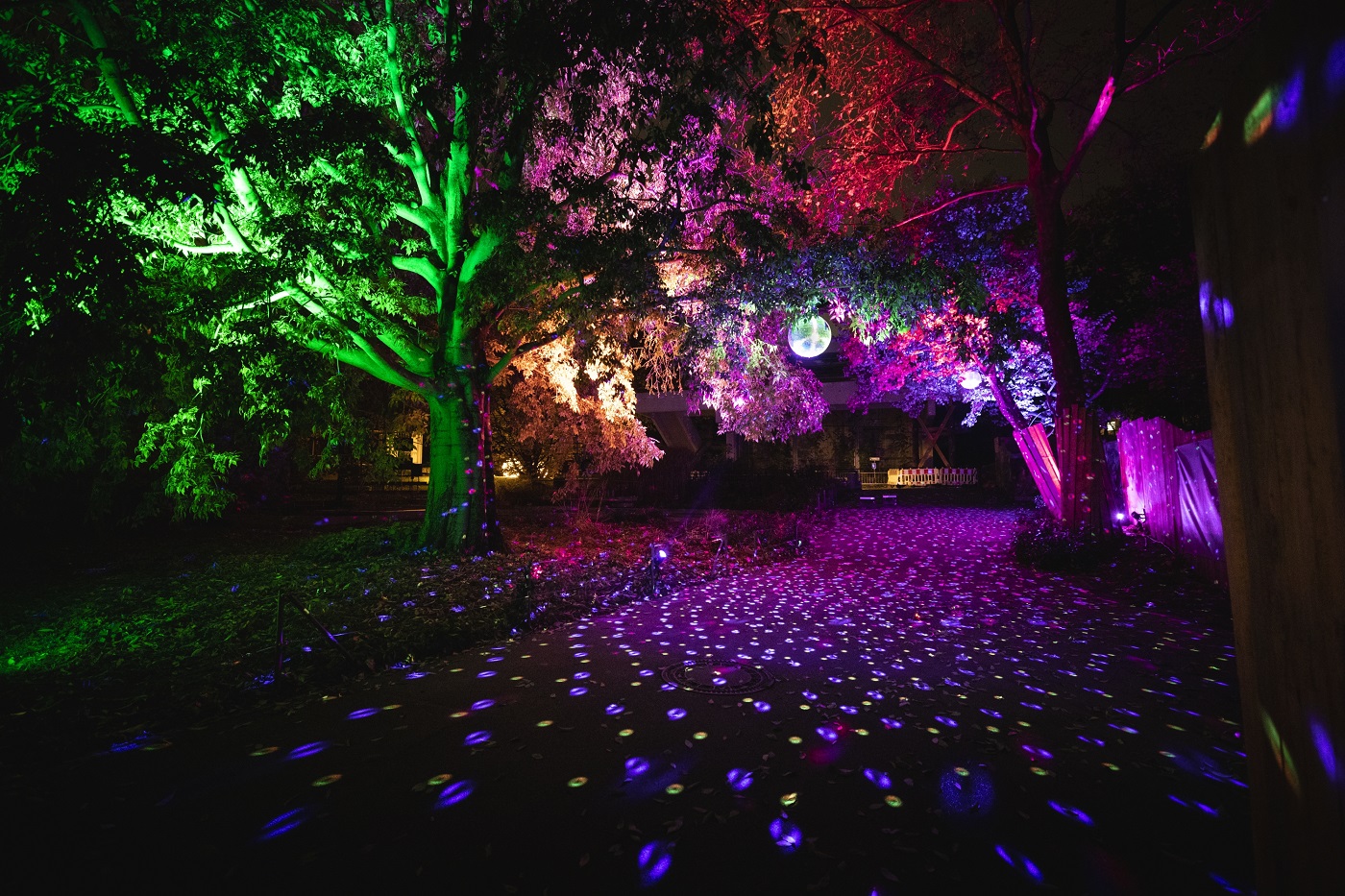 Magia świateł w Śląskim Ogrodzie Zoologicznym! Wkrótce otwarcie Christmas Garden Chorzów