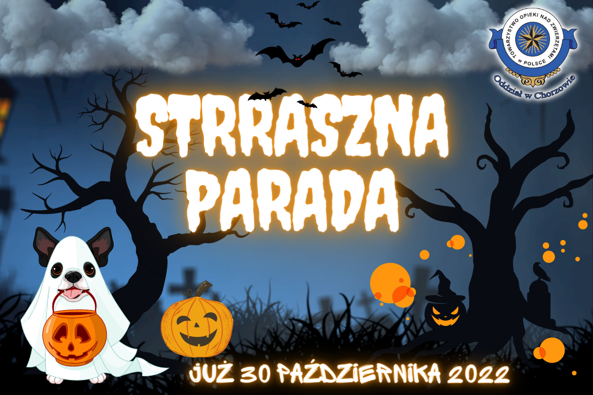 Przed nami "Strraszna parada kundelków" z chorzowskiego schroniska
