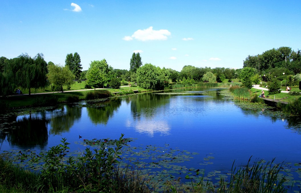 Chorzów na podium Indeksu Zdrowych Miast 2022. Miasto docenione w kategorii „Przestrzeń”