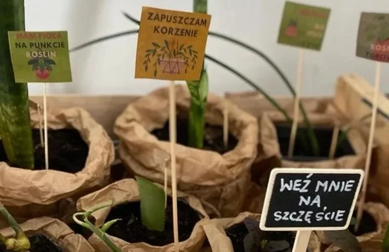 Dzień otwarty Centrum Integracji Społecznej