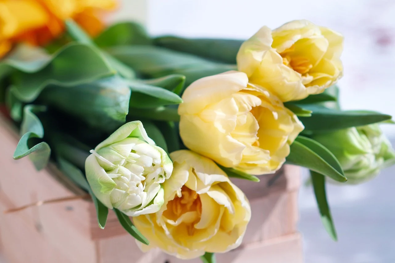 Dziś obchodzimy Dzień Edukacji Narodowej!