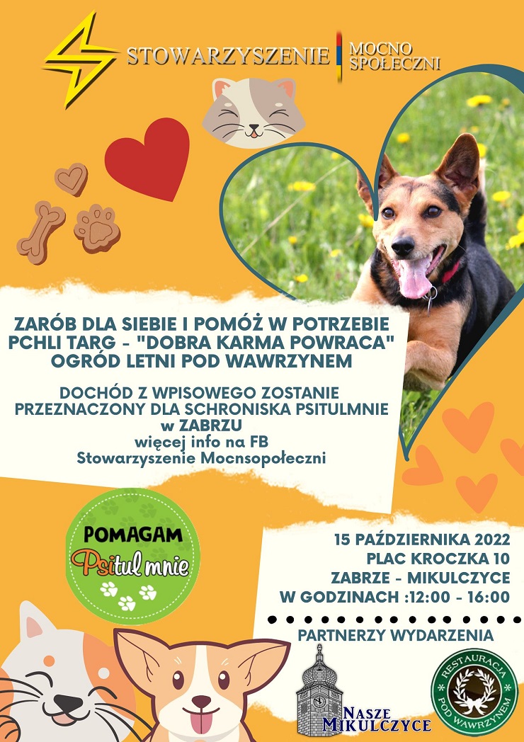 Przed nami pchli targ "Dobra karma powraca" na rzecz schroniska Psitulmnie