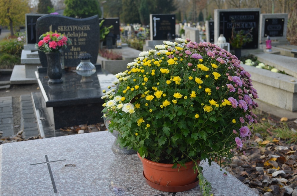 Wszystkich Świętych 3